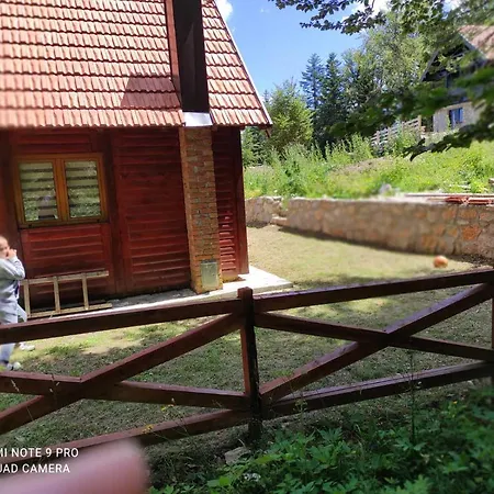 Brvnara Mila * Zaovine