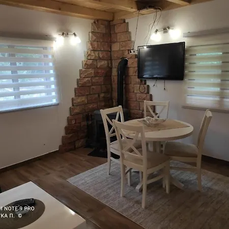 Prázdninový dům Brvnara Mila *